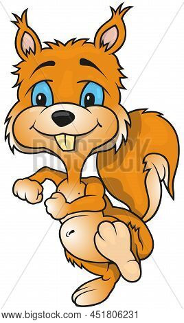Orange Smiling Walking Squirrel From Front View - Colored Cartoon Illustration Isolated On White Bac