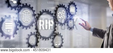 Rip Routing Information Protocol. Technology Networks Cocept 2022