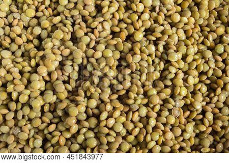 Raw Pardina lentils wet, and washed after been soaked. Organic texture abstract background.