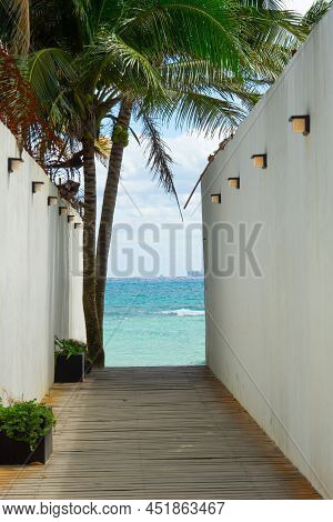 Passage To The Sea Between The Walls, The Sea At The End Of The Path. View Of Palm Trees And Sea Thr