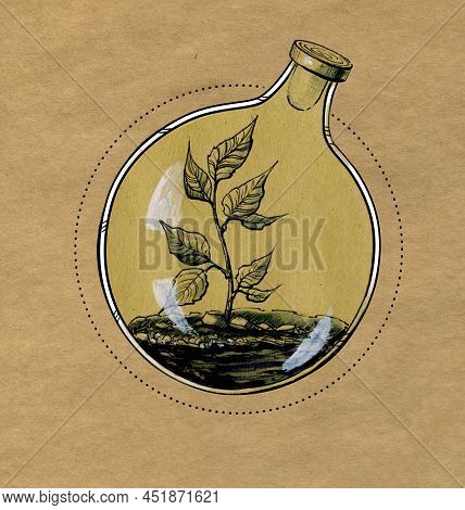 Flower Sprout In A Bottle. Black And White Ink Drawing.