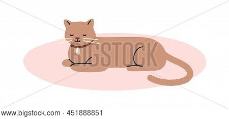 Happy Calm Cat Sleeping, Relaxing On Mat. Cute Home Kitty Lying, Resting. Sleepy Feline Animal With 