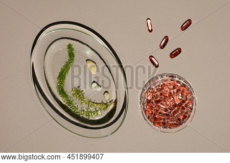 Transparent Glass Plates With Pile Of Algae Oil Jelatin Capsules And Stems Of Fresh Green Live Seawe