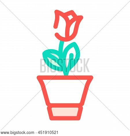 Loekaryd Potted Flower Color Icon Vector. Loekaryd Potted Flower Sign. Isolated Symbol Illustration