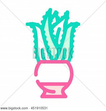 Aloe Domestic Plant Color Icon Vector. Aloe Domestic Plant Sign. Isolated Symbol Illustration