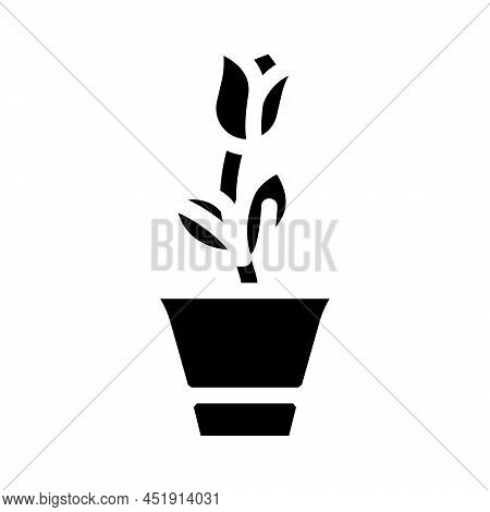Loekaryd Potted Flower Glyph Icon Vector. Loekaryd Potted Flower Sign. Isolated Contour Symbol Black