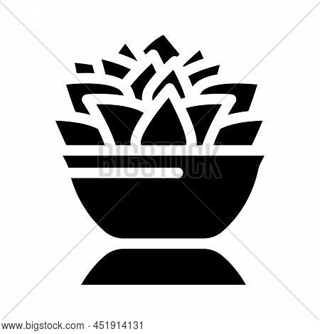 Echeveria Lola Glyph Icon Vector. Echeveria Lola Sign. Isolated Contour Symbol Black Illustration