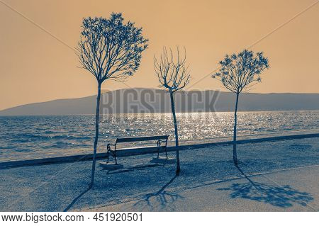 Three Different Trees On Coast Of Bay At Sunset. Mediterranean Landscape. Montenegro, Kotor Bay. Col