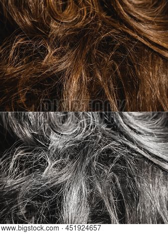 Premature Greying Of Hair, Aging, Coloring Or Special Recovery Treatment