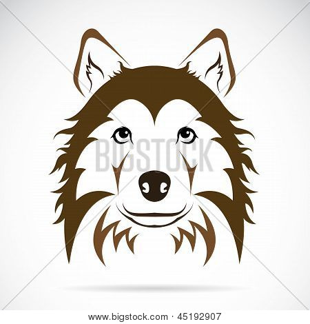 Vector de la imagen de un perro