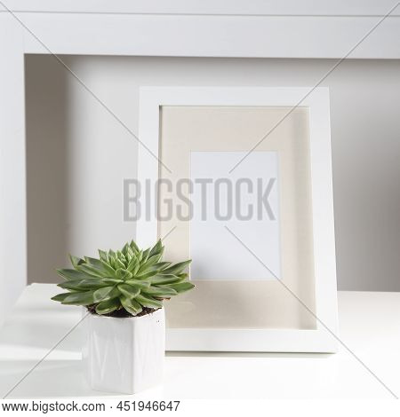 Layout For The Office. Echeveria In A Geometric Pot And Photo Frame. Place For Text