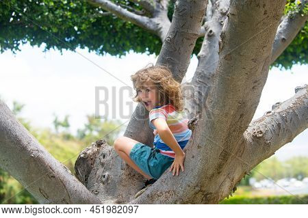 Child Boy Climbing High Tree In The Summer Park. Portrait Of Cute Kid Boy Sitting On The Tree, Climb