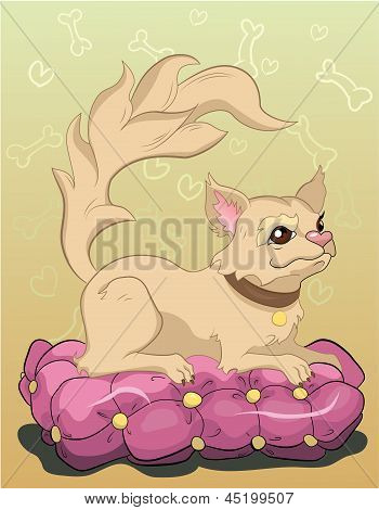 Chihuahua lying in a pillow