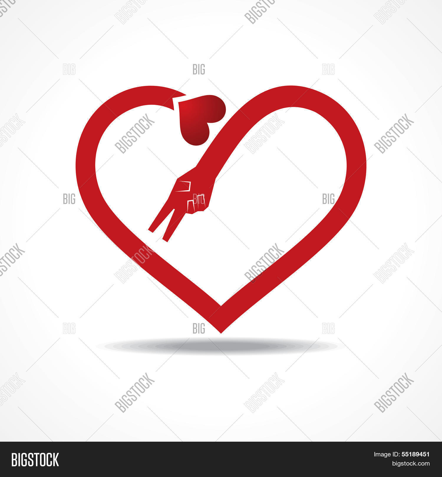 Image Preview