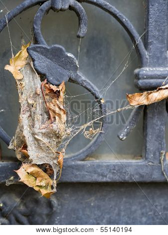 decaying door at Pere Lachaise Cemetery in paris narrow DOF