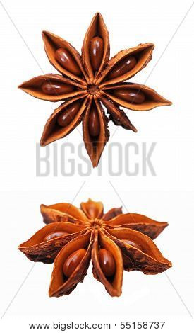 Star Anise