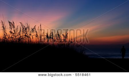 Hiekka siluetti Dunes aamunkoitteessa