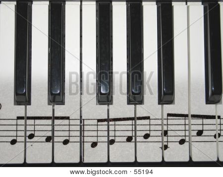 Claves y notas 1