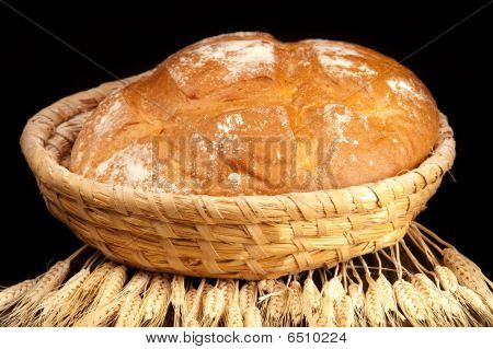 Brot