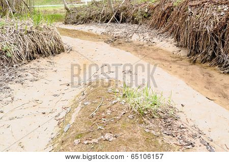 Silt Eroding Along Creek