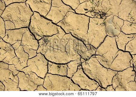 cracked earth removed closeup