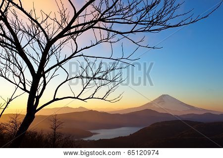 Mountain Fuji