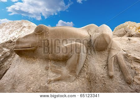 Stone Frog - Caorle -  Venezia Italy