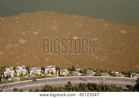 Pollution From Aerial In Lake.