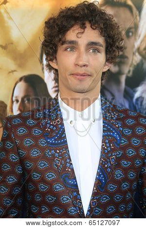 LOS ANGELES - AUG 12:  Robert Sheehan at the 