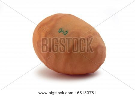 Wrong Egg