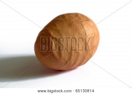 Wrong Egg