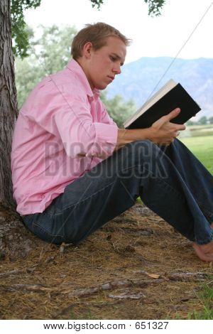 Lesen