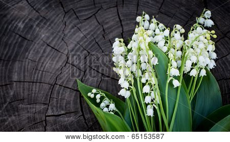 Lilly of the valley flowers on wooden texture. Romantic floral background.