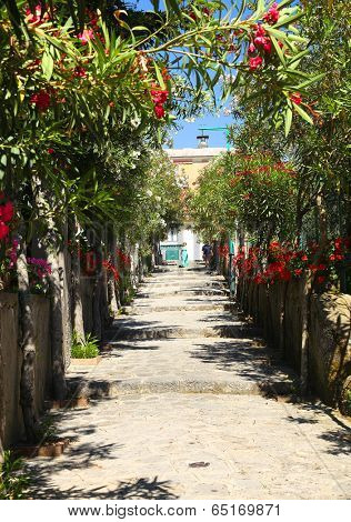 Street in Ravello, Amalfi Coast, Italy, Europe