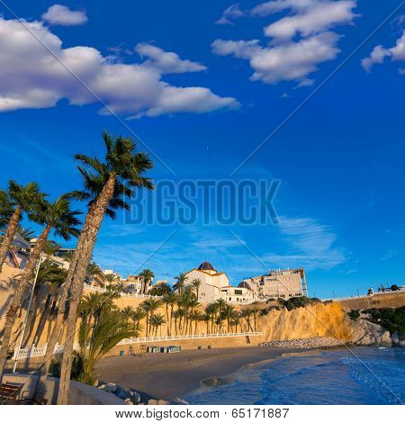 Benidorm Alicante playa del Mal Pas beach at sunset in Spain with palm trees