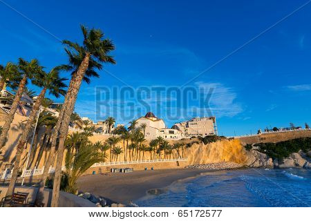 Benidorm Alicante playa del Mal Pas beach at sunset in Spain with palm trees