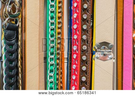 Fashion Belts