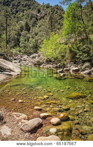 The Figarella River Running Through The Foret De Bonifatu In Corsica