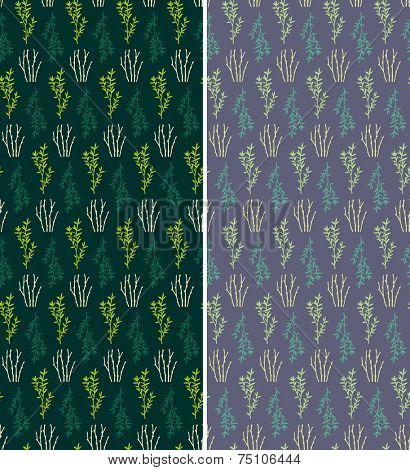 Set of foral seamless patterns, vector illustration