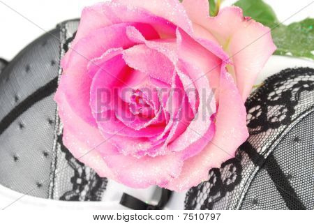 White And Black Lingerie Bra With Pink Rose