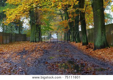 Country Road.