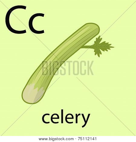 Hand Drawn Celery Illustration