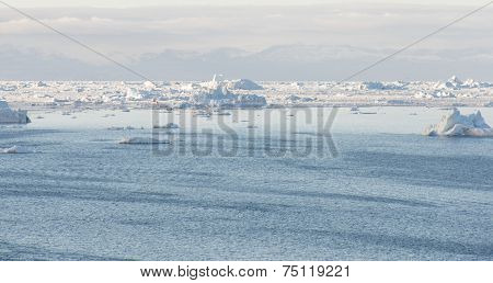 Arctic Landscape In Greenland