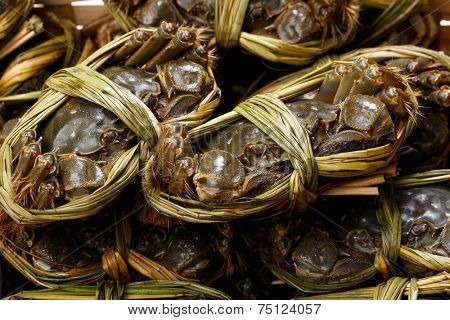 Hairy crabs