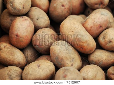 potatis
