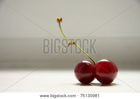 Cherry