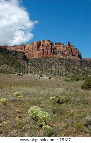Red Cliffs