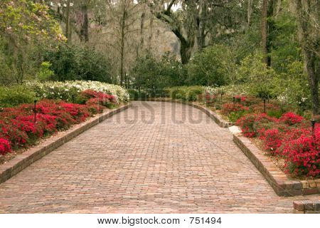 bred gangbro garden