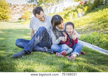 Happy Mixed Race Family Having Fun Outside on the Grass.