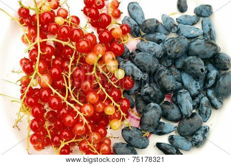 Red Currant And Honeysuckle Berries In The Plate